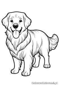 Kolorowanka retriever – golden retriever z wyciągniętym językiem i szczęśliwym wyrazem twarzy