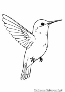 Kolorowanka koliber – ptak w locie z rozłożonymi skrzydłami, długim, smukłym dziobem i detalicznie narysowanymi piórami