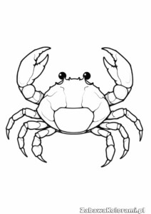 Kolorowanka krab z charakterystycznymi szczypcami i detalami ciała