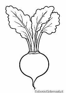 Kolorowanka buraka z liśćmi, prosty szkic do wypełnienia