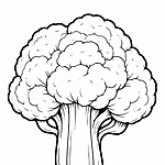 Kolorowanka kalafiora – szablon z wyraźnymi liniami, charakterystycznymi kwiatostanami i grubym łodygą