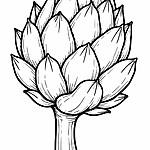 Kolorowanka karczocha z konturami warzywa, z charakterystycznymi liśćmi i pąkiem