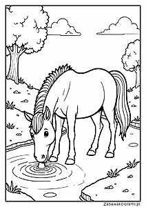Kolorowanka konik pijący wodę z małego stawu. W tle drzewa, krzewy i chmury na niebie