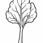 Malowanka Szpinak – gotowy rysunek konturowy