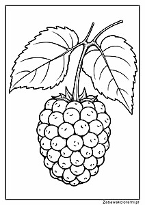 Kolorowanka przedstawiająca morwę i liśćmi