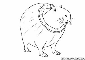 Burbaloni-Lulilolli Kolorowanka z kapibarą