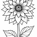 Kolorowanka przedstawia słonecznik z licznymi płatkami i liśćmi.