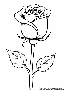 Kolorowanka przedstawiająca róże w różnym stadium kwitnienia, z delikatnymi liśćmi i cienkimi łodygami.