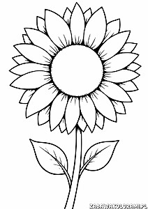 Kolorowanka słonecznik z dużym środkiem i licznymi płatkami, zielonymi liśćmi i łodygą
