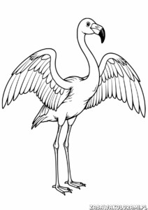 Kolorowanka przedstawiająca flaminga z rozłożonymi skrzydłami, długą szyją i nogami