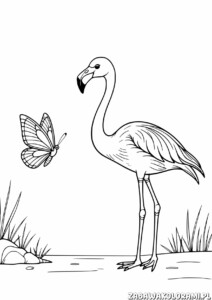 Kolorowanka przedstawia flaminga stojącego na jednej nodze z motylkiem obok w naturalnym otoczeniu
