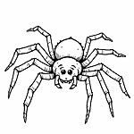 Pajączek z długimi nogami