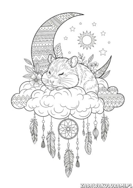 Chomik Kolorowanka antystresowa z chomikiem na chmurce, piórkami i wzorami