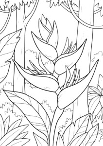Kwiat Helikonia z Pandory – kolorowanka z tropikalnym kwiatem i liśćmi