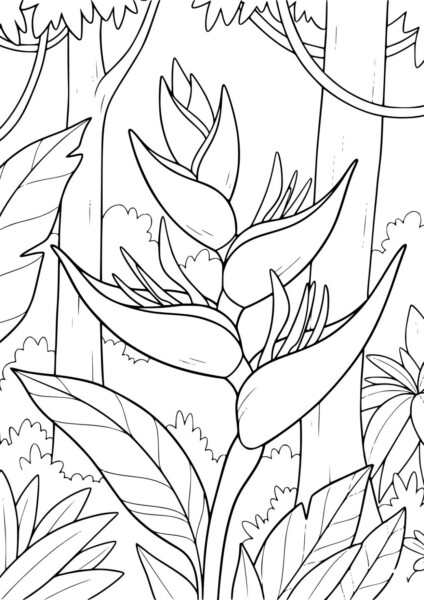 Kwiat Helikonia z Pandory – kolorowanka z tropikalnym kwiatem i liśćmi