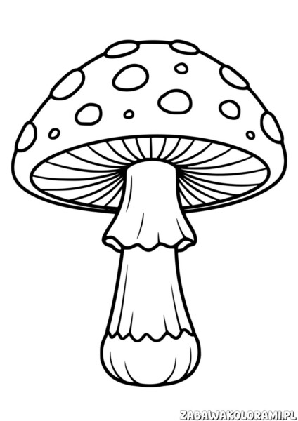 Muchomor kolorowanka - grzyb z kropkami i blaszkami na dole kapelusza