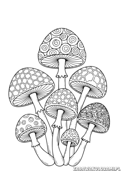Grzyby Kolorowanka do druku - kolorowanka z grzybami