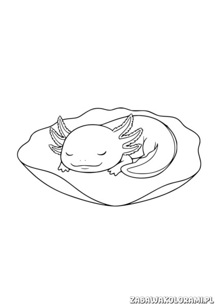 Kolorowanka aksolotl do druku przedstawiająca uśmiechniętego aksolotla z wierzblami