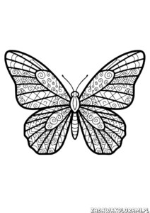 Motyl Kolorowanka dla dorosłych z szczegółowymi wzorami na skrzydłach i symetrycznymi motywami
