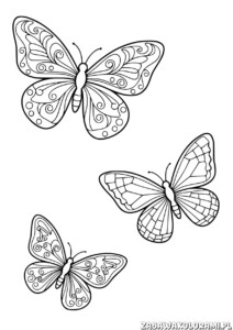 Motyle Kolorowanka z trzema motylami o różnych wzorach na skrzydłach