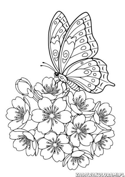 Motyl kolorowanka dla dzieci – obrazek z motylem i kwiatami do kolorowania