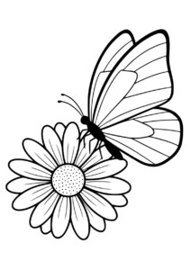 motyl kolorowanka z kwiatkiem przedstawiająca motyla na kwiatku