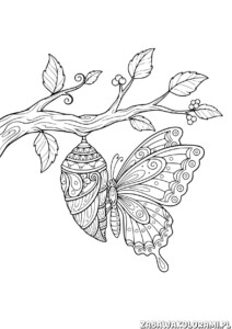 Motyl darmowa kolorowanka z motylem i poczwarką na gałązce z liśćmi.
