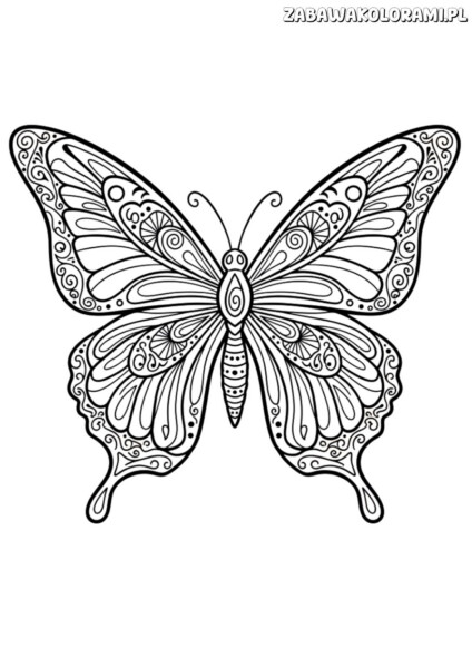 Motyl kolorowanka z ozdobnymi skrzydłami i delikatnymi wzorami dla dzieci