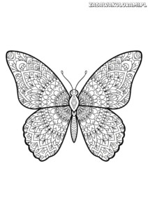 Motyl kolorowanka wiosna z delikatnymi wzorami mandala, kwiatów i liści na skrzydłach