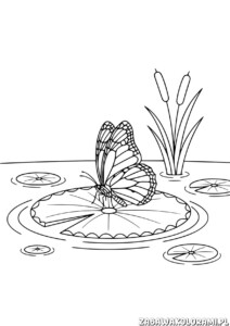 Motyl na lili wodnej kolorowanka z roślinami wodnymi i łagodnymi falami na powierzchni