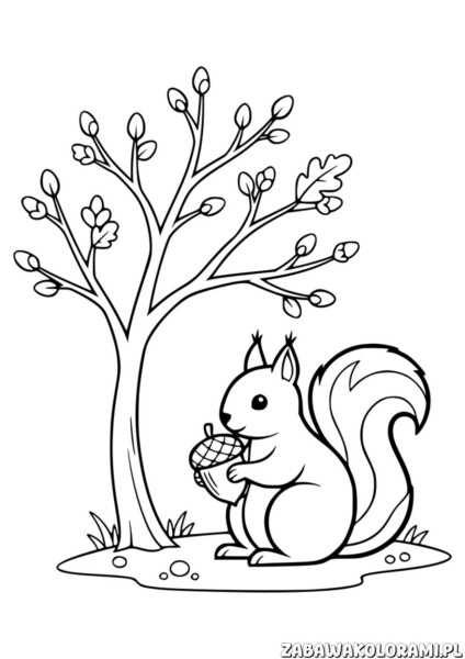 wiosna kolorowanki dla dzieci. Wiewiórka z orzechem kolorowanka dla dzieci z drzewem i owocami